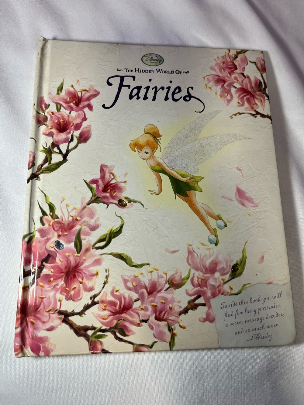 Disney Press The Hidden World of Fairies Hardcover 2008 1st Edition Y2K